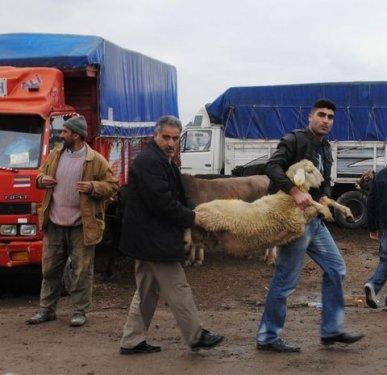 Türkiye'den Kurban Bayramı manzaraları
