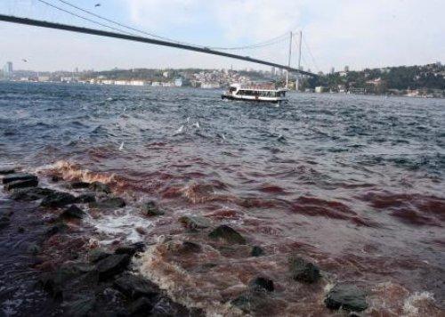 İstanbul Boğazı'na kan aktı - Resim 2