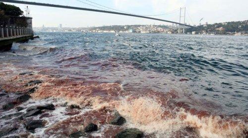 İstanbul Boğazı'na kan aktı - Resim 9