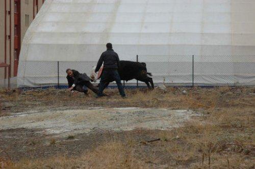 Türkiye'den Kurban Bayramı manzaraları