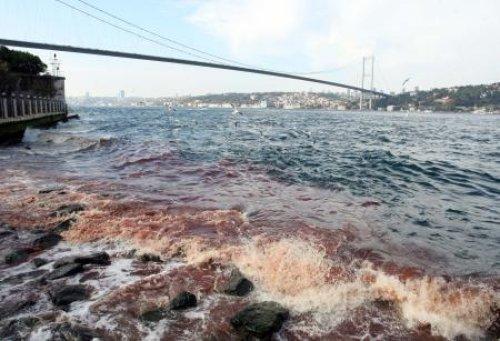 İstanbul Boğazı'na kan aktı - Resim 3