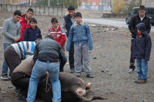 Türkiye'den Kurban Bayramı manzaraları