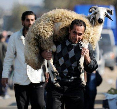 Türkiye'den Kurban Bayramı manzaraları