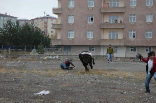 Türkiye'den Kurban Bayramı manzaraları