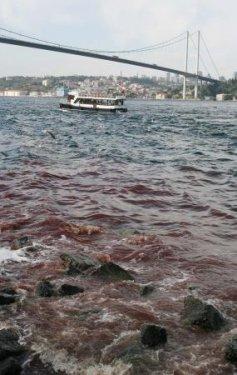 İstanbul Boğazı'na kan aktı - Resim 1