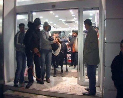 Türkiye'den Kurban Bayramı manzaraları