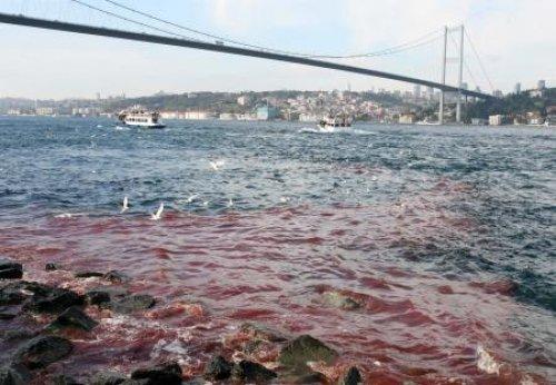 İstanbul Boğazı'na kan aktı - Resim 4