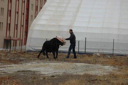 Türkiye'den Kurban Bayramı manzaraları