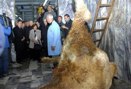 Kılıçdaroğlu depremzedelerle bayramlaştı - Resim 16