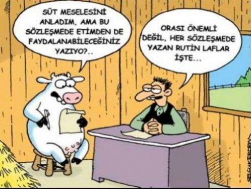 Bayram karikatürleri güldürüyor - Resim 6