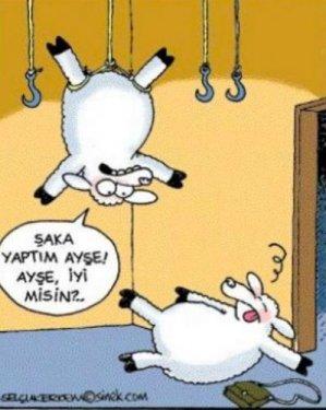 Bayram karikatürleri güldürüyor - Resim 5