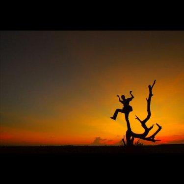 İnternetten seçilmiş fotoğraflar - Resim 39