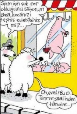 Bayram karikatürleri güldürüyor - Resim 11