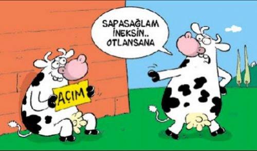 Bayram karikatürleri güldürüyor - Resim 15
