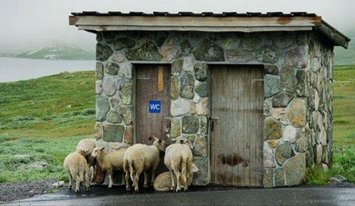 İnternetten seçilmiş fotoğraflar - Resim 42