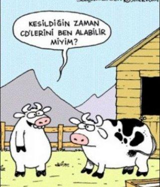 Bayram karikatürleri güldürüyor - Resim 8