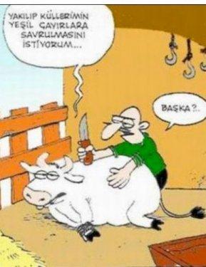 Bayram karikatürleri güldürüyor - Resim 3