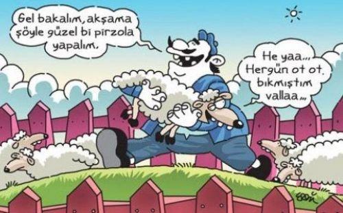 Bayram karikatürleri güldürüyor - Resim 2