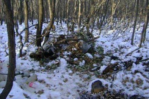 PKK'nın Kandil sefaleti