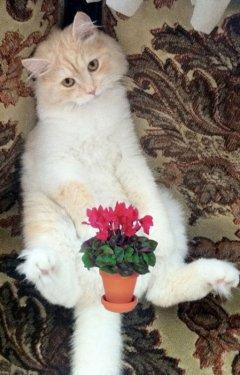 Doğuş'un çıplak fotoğrafı olay oldu