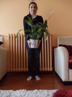 Doğuş'un çıplak fotoğrafı olay oldu