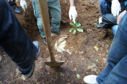 PKK'lı teröristler böyle yakalandı - Resim 8