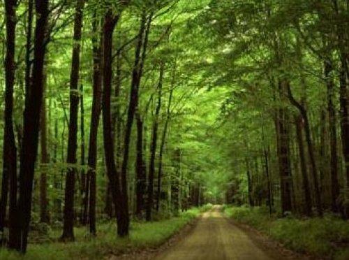 Türkiye'de yaşamak için 37 neden