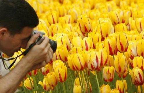 Türkiye'de yaşamak için 37 neden