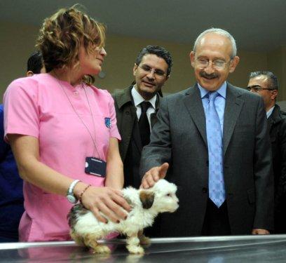 Kemal Kılıçdaroğlu'nun faytonlu ada turu  - Resim 6