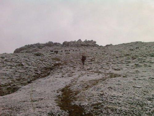 Diyarbakır'da 3 PKK'lı öldürüldü  - Resim 1