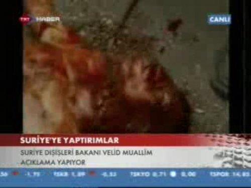 Türk kanallarında parçalanmış cesetler - Resim 13