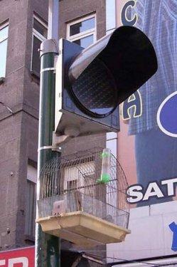 Yurdum insanı fıkra gibi