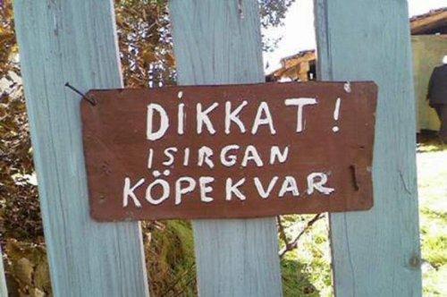 Yurdum insanı fıkra gibi