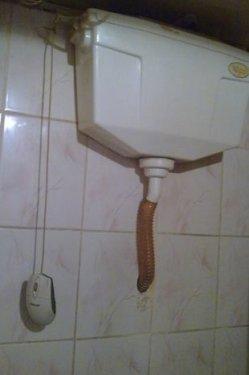 Yurdum insanı fıkra gibi