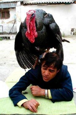 Yurdum insanı fıkra gibi