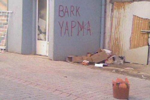 Yurdum insanı fıkra gibi