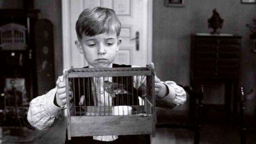 Son 10 yılın en iyi 50 filmi