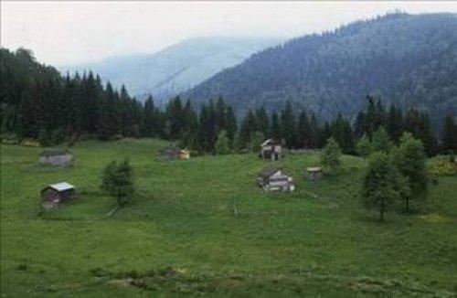Devlet gayrimenkul zengini - Resim 76
