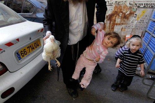 Reuters'ın objektifinden 2011 - 2 - Resim 52