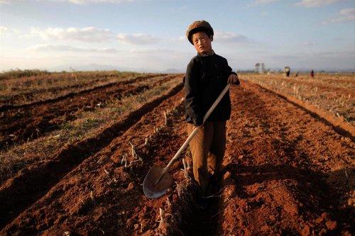 Reuters'ın objektifinden 2011 - 2 - Resim 45