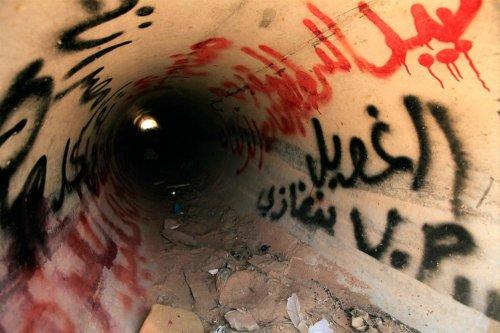 Reuters'ın objektifinden 2011 - 2 - Resim 11