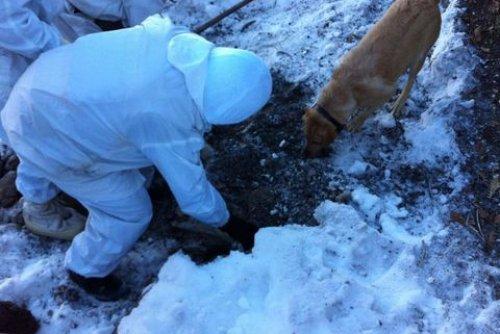 PKK'lı teröristlere şafak baskını  - Resim 3