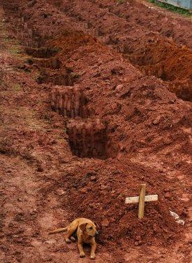 2011'in en iyi 50 hayvan fotoğrafı - Resim 4