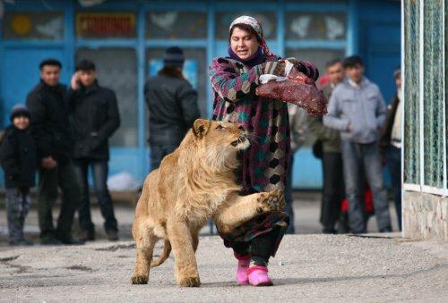 2011'in en iyi 50 hayvan fotoğrafı - Resim 23