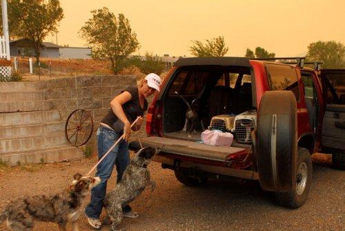 2011'in en iyi 50 hayvan fotoğrafı - Resim 48
