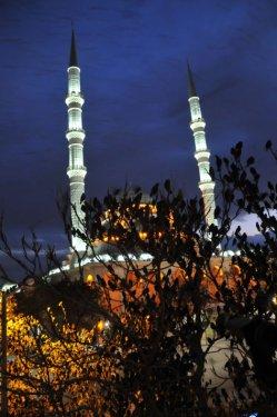 Kuşların gökyüzünde dansı  - Resim 16