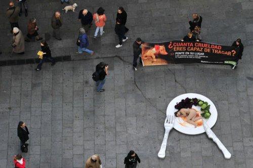 Hayvan katliamlarına çıplak protesto - Resim 2