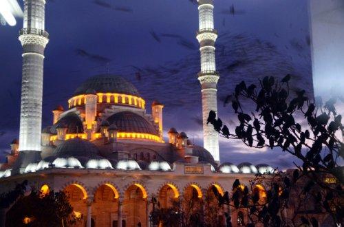 Kuşların gökyüzünde dansı  - Resim 17
