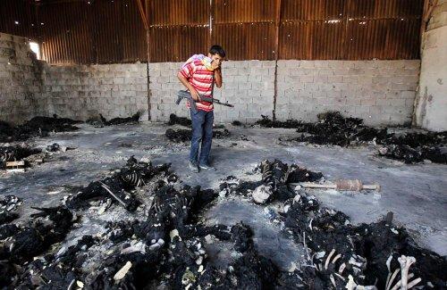 Reuters'ın objektifinden 2011 - 3 - Resim 8