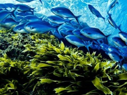 National Geographic'in en iyileri - Resim 16
